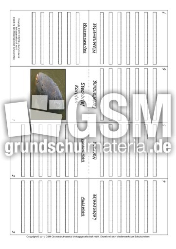 Faltbuch-Karpfen.pdf